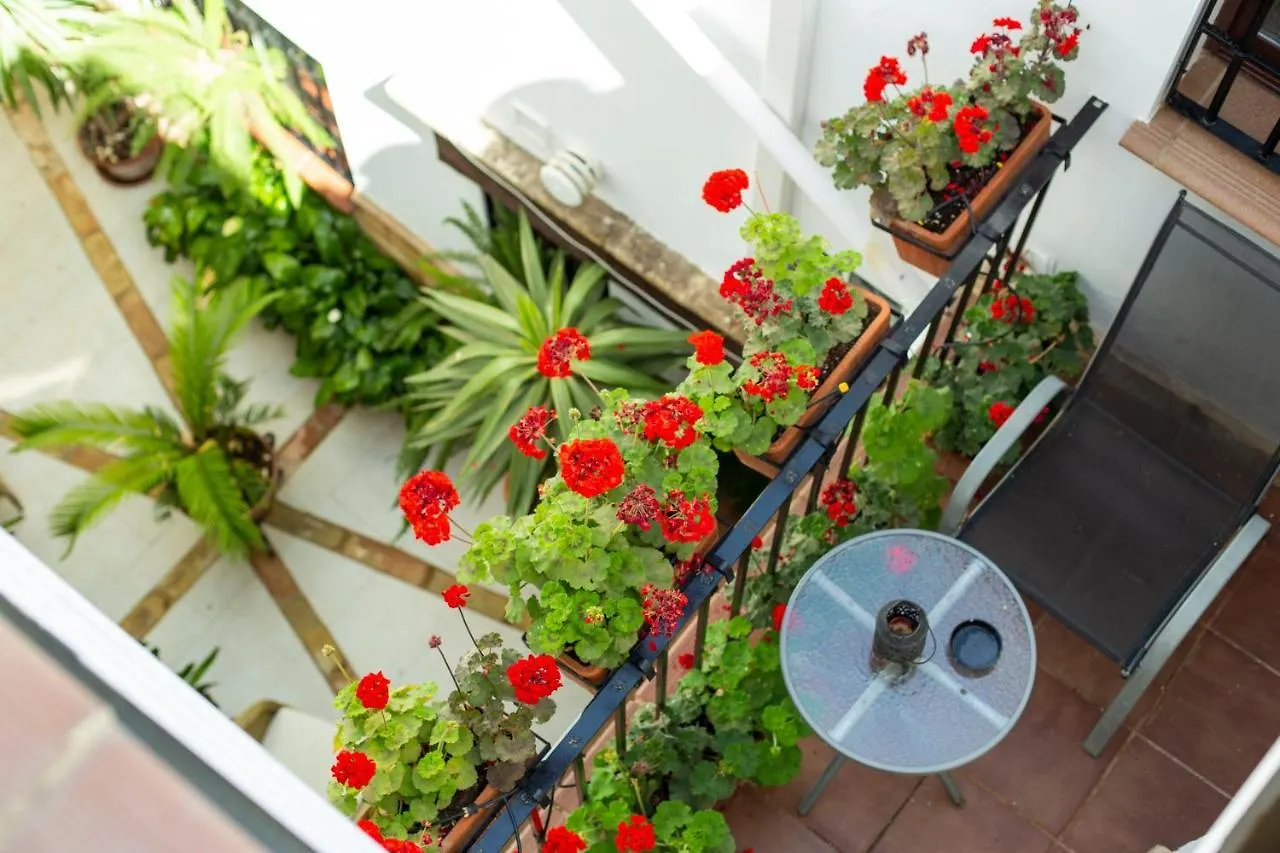 Casa Turistica Patio Cordobes - Parking Privado En La Juderia Apartment Cordoba Spain