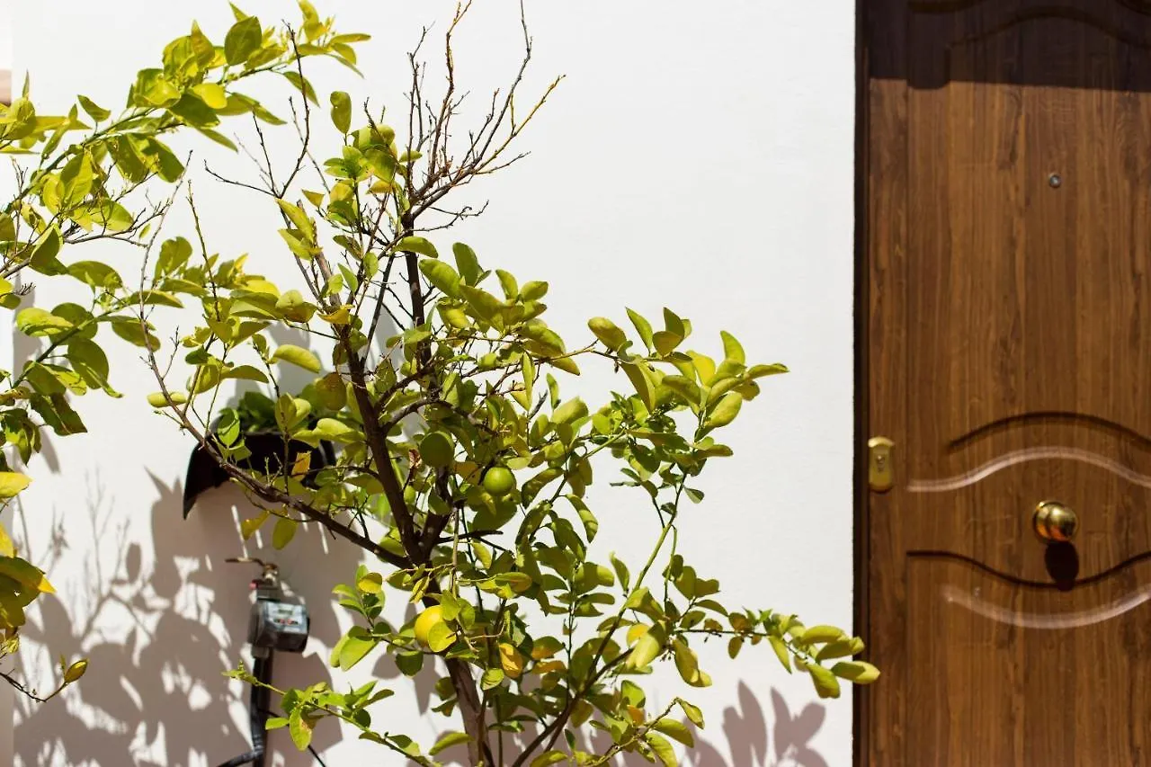 Casa Turistica Patio Cordobes - Parking Privado En La Juderia Apartment Cordoba
