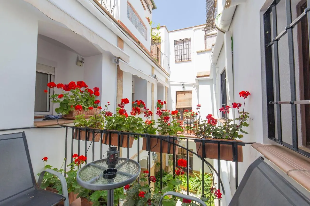 Casa Turistica Patio Cordobes - Parking Privado En La Juderia Apartment Cordoba