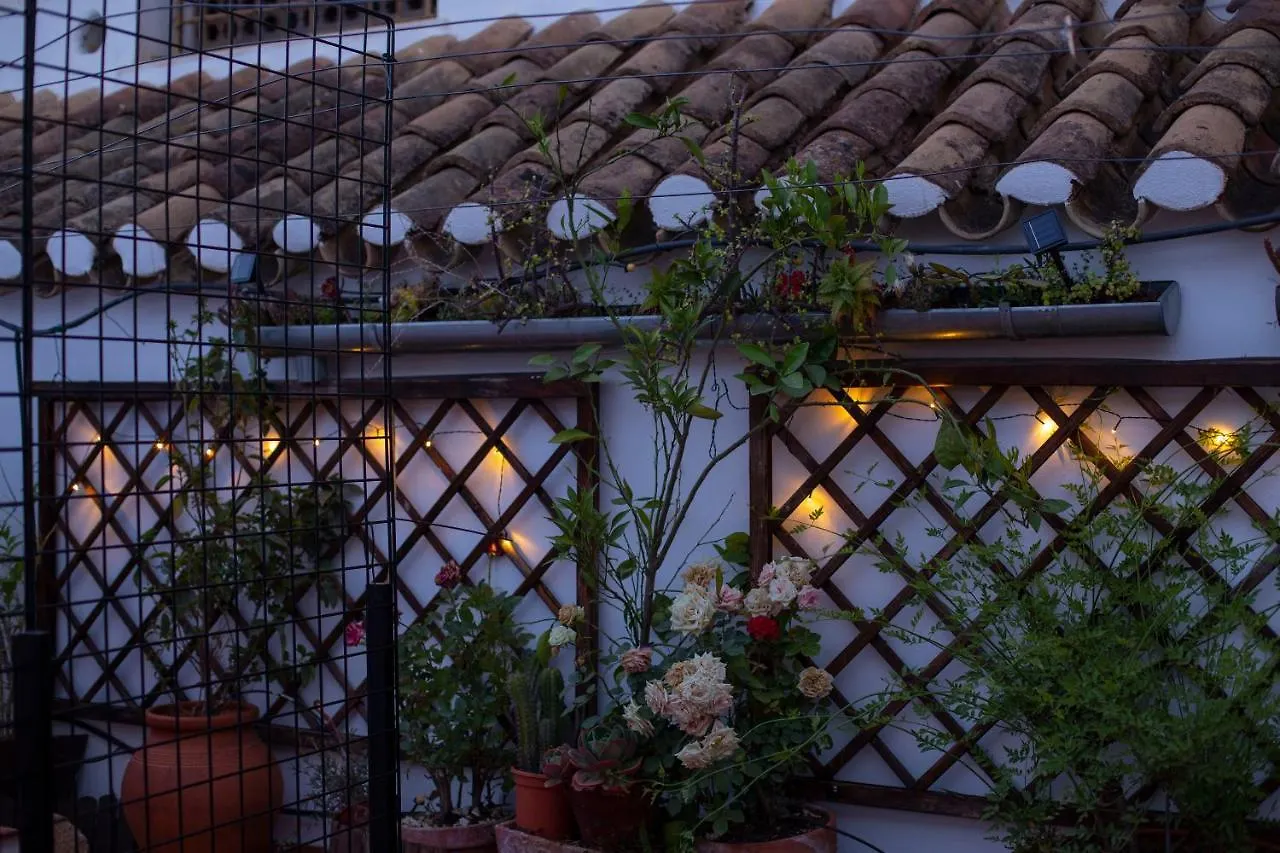 Casa Turistica Patio Cordobes - Parking Privado En La Juderia Apartment Cordoba Spain