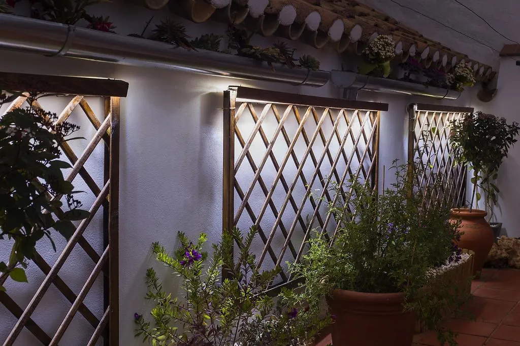 Casa Turistica Patio Cordobes - Parking Privado En La Juderia Apartment Cordoba Spain